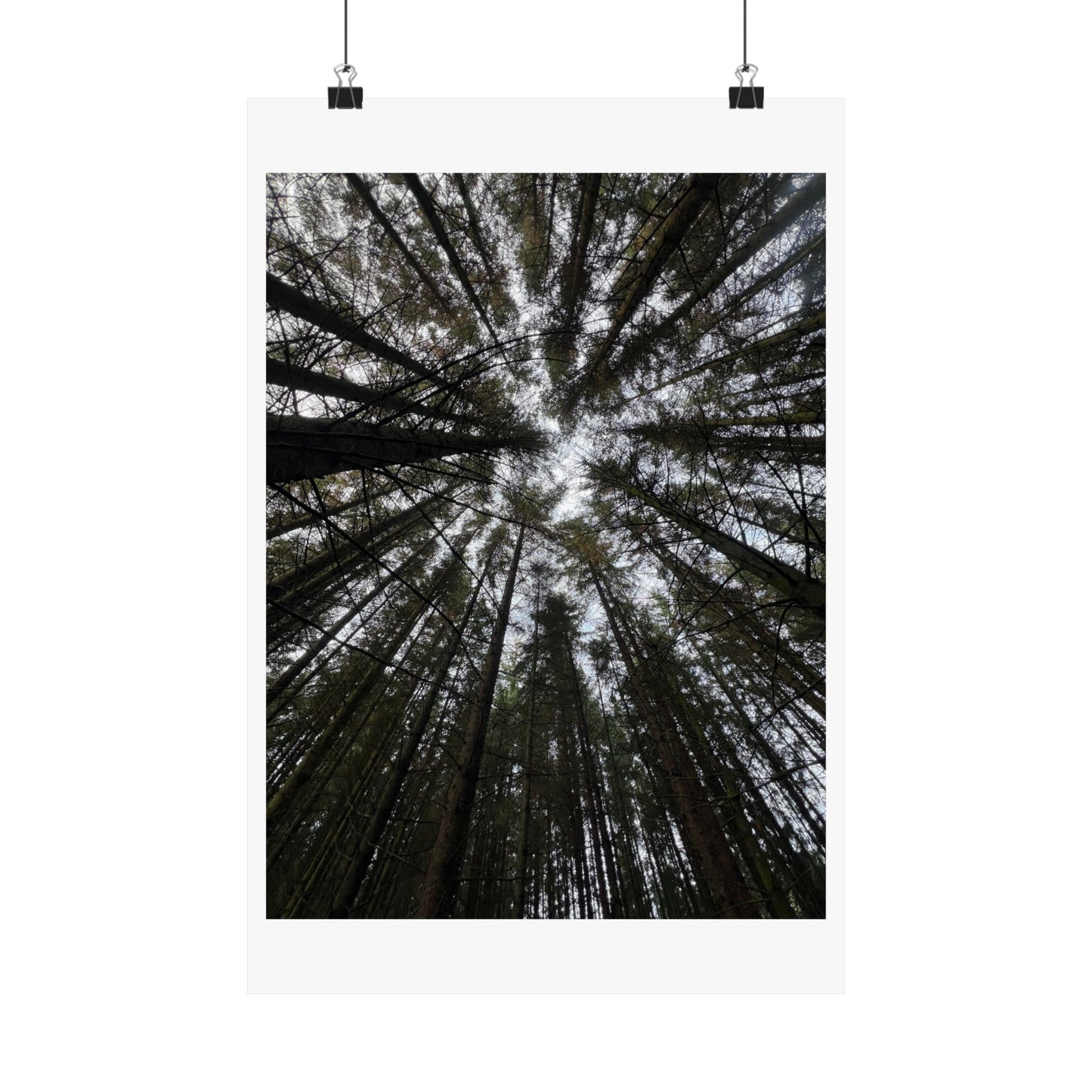 Matte Vertical Posters