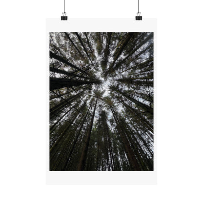 Matte Vertical Posters