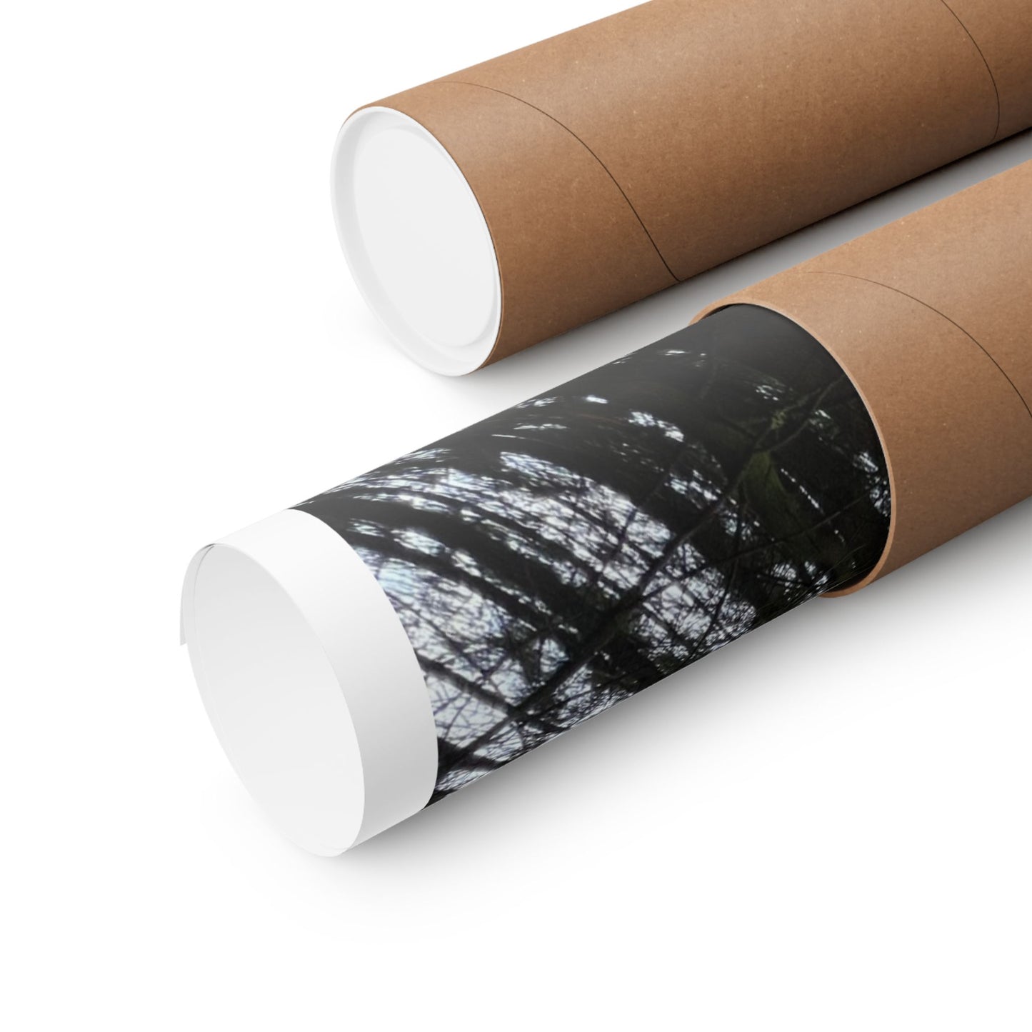 Matte Vertical Posters