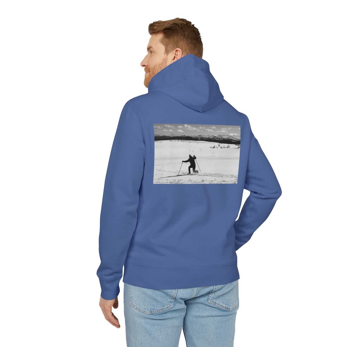 PREMIUM Telemark nedslag