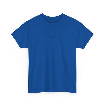 Unisex Heavy Cotton Tee CAR