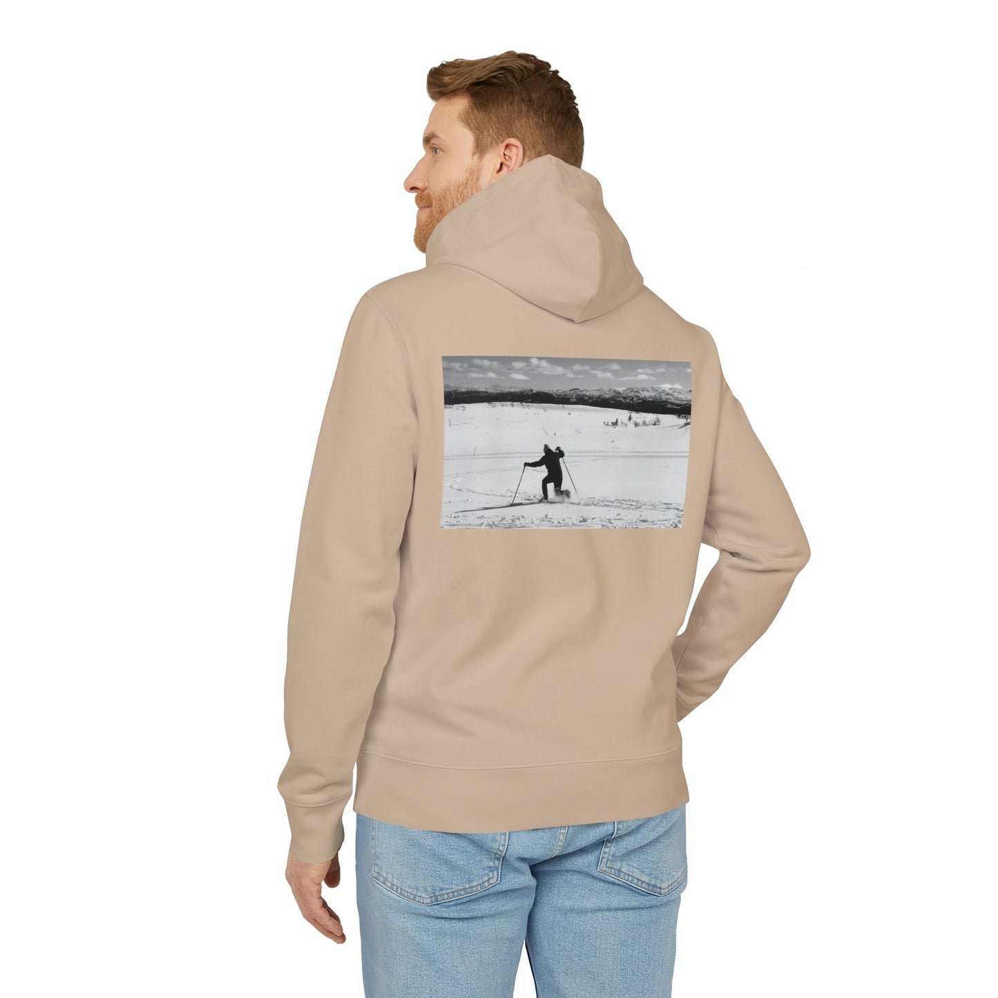 PREMIUM Telemark nedslag