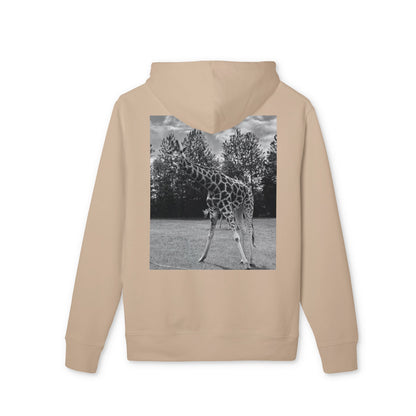 Premium GIRAFFE