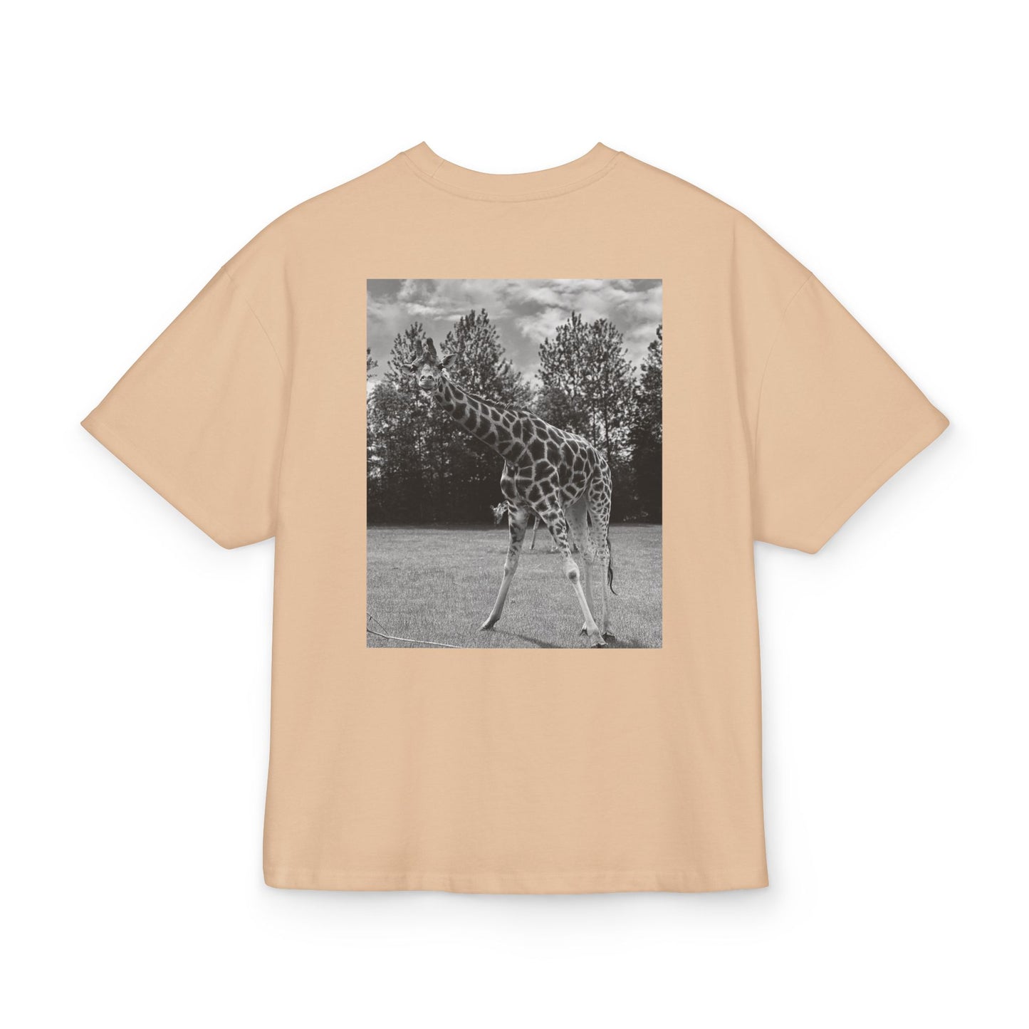 PREMIUM GIRAFFE