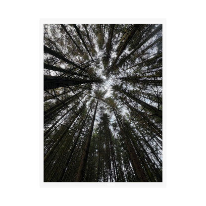 Matte Vertical Posters