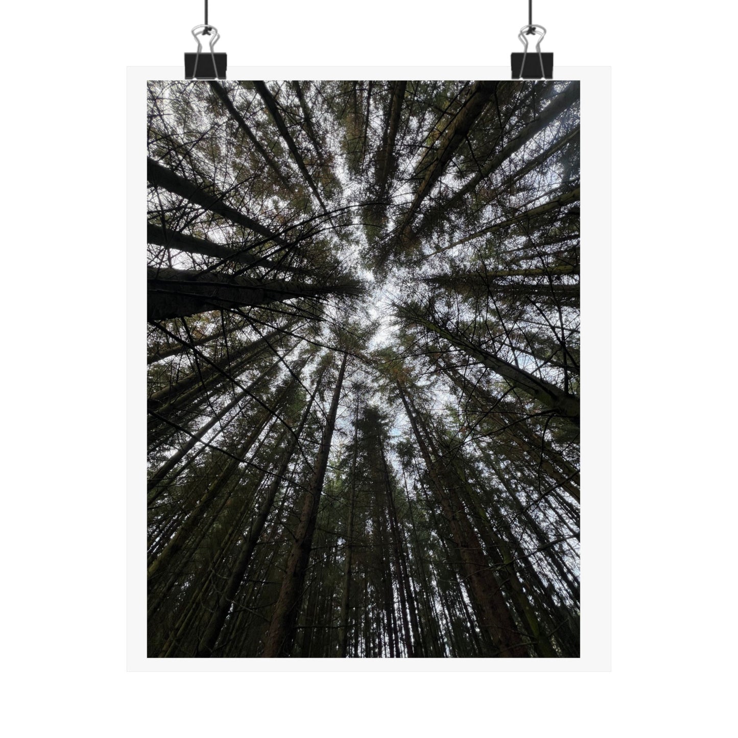 Matte Vertical Posters
