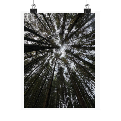 Matte Vertical Posters