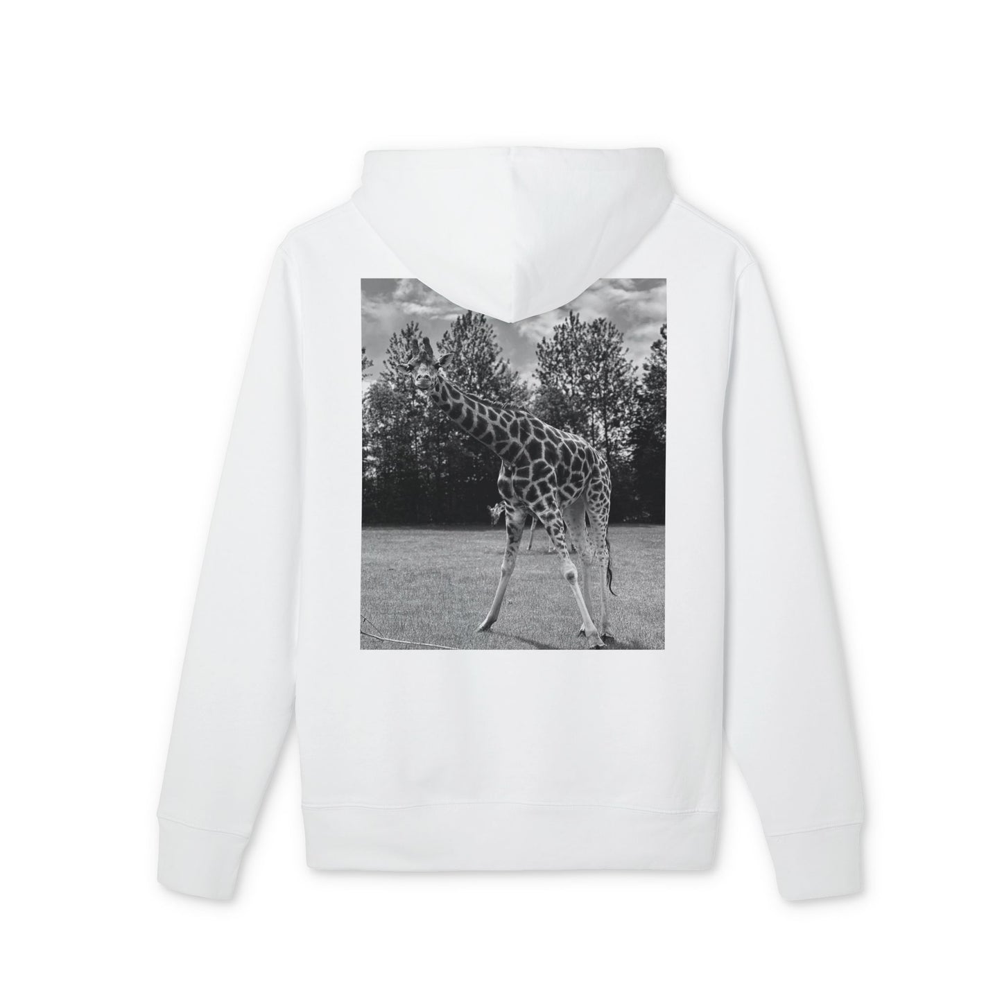 Premium GIRAFFE