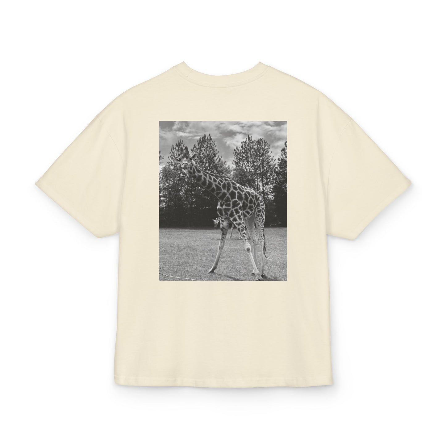 PREMIUM GIRAFFE