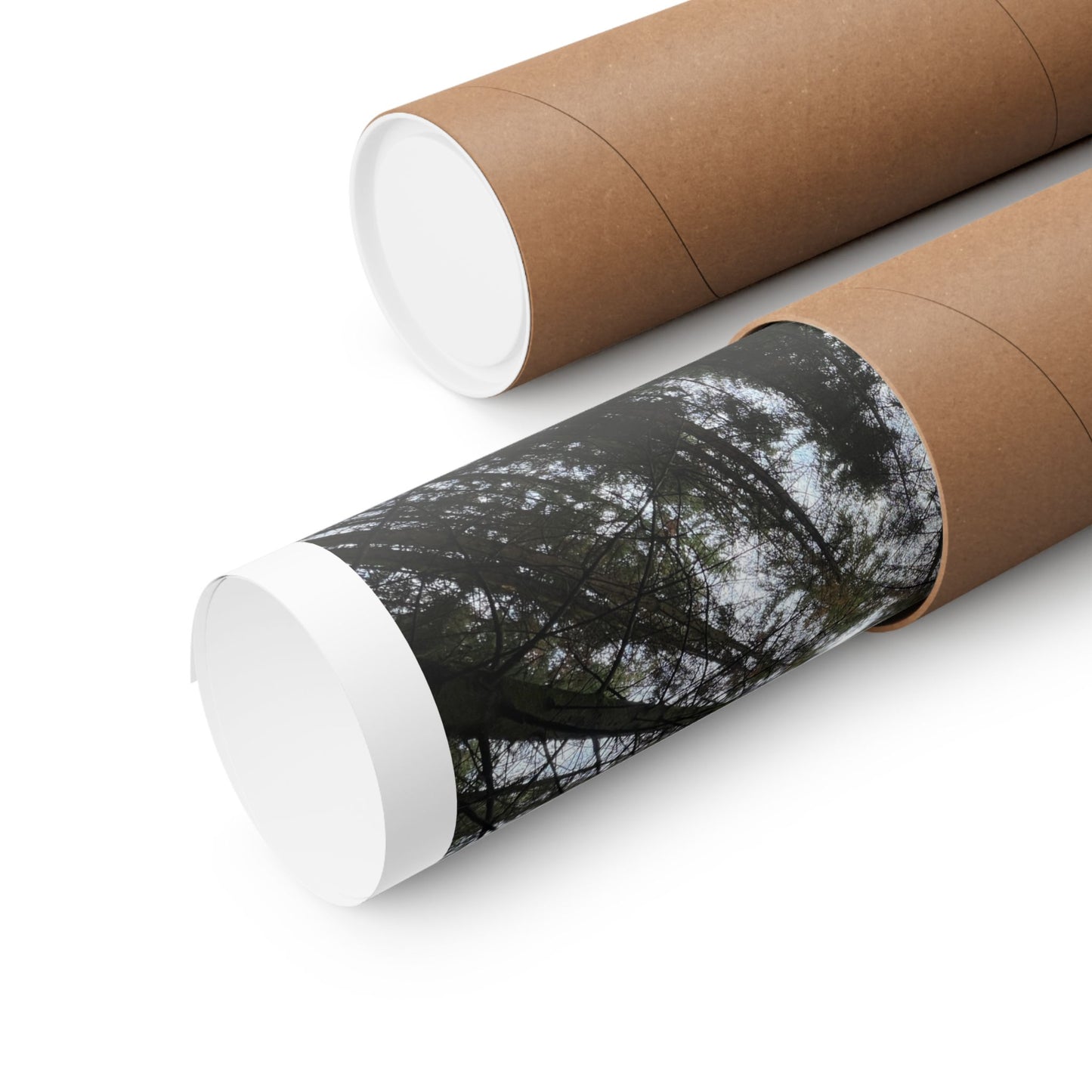 Matte Vertical Posters