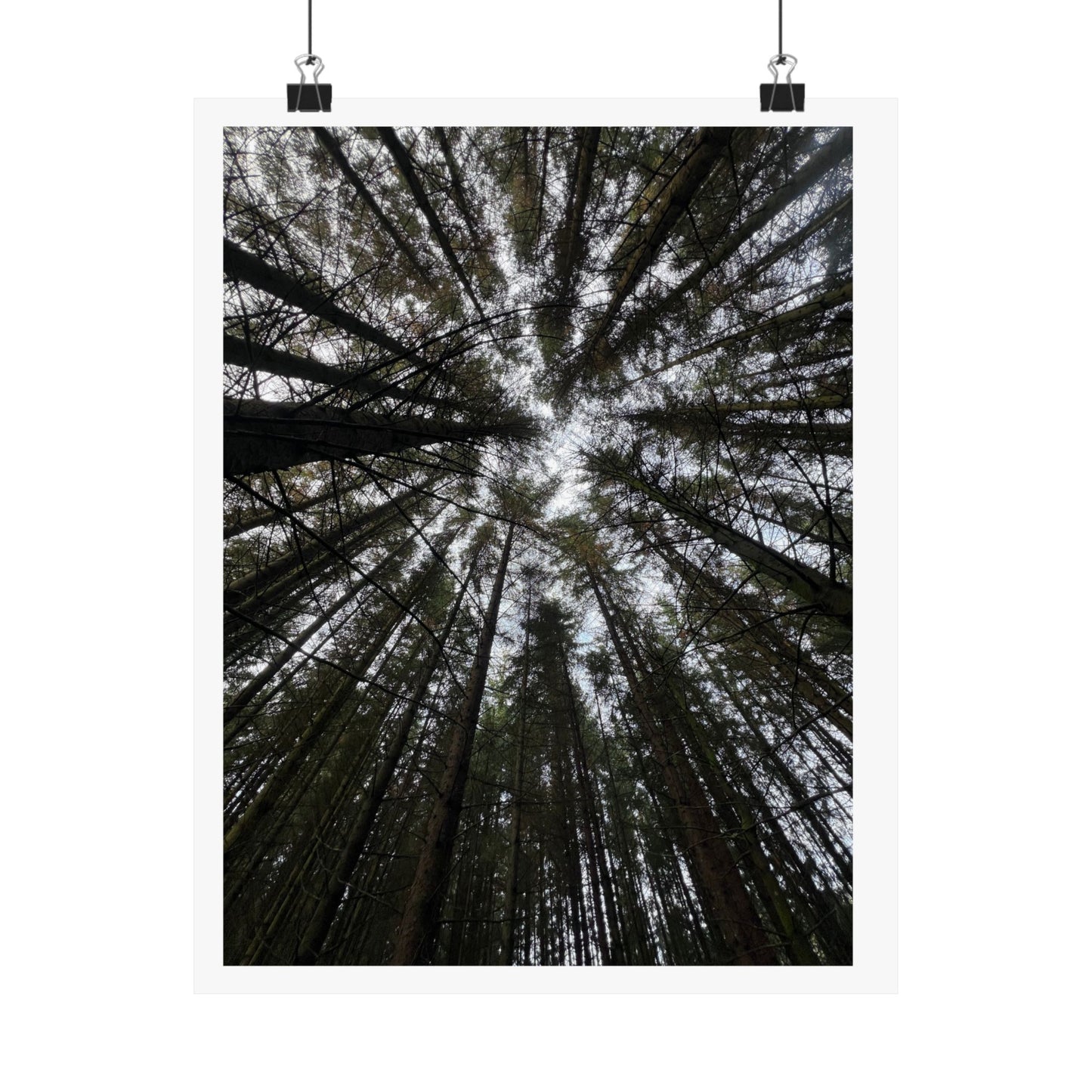 Matte Vertical Posters