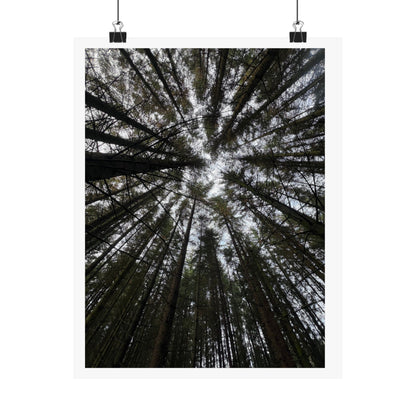 Matte Vertical Posters