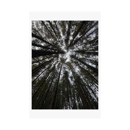Matte Vertical Posters