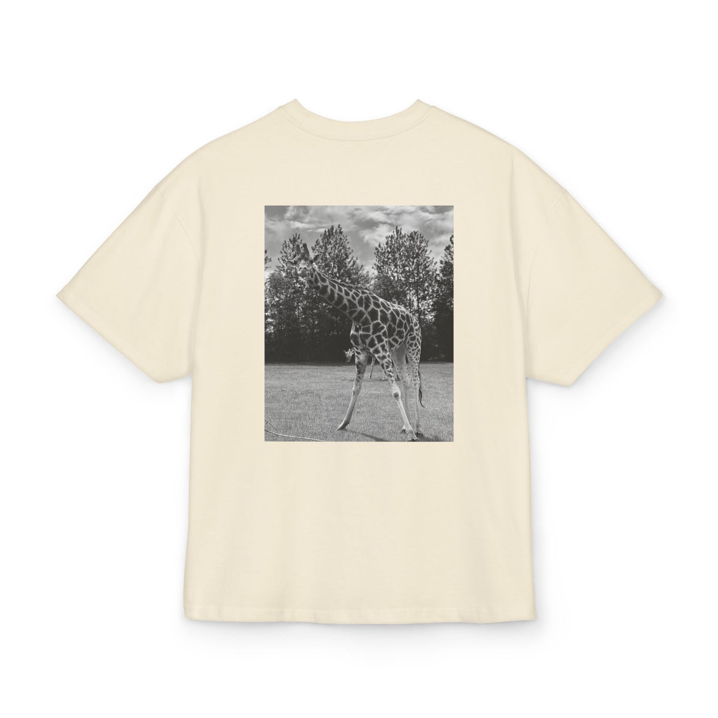 PREMIUM GIRAFFE