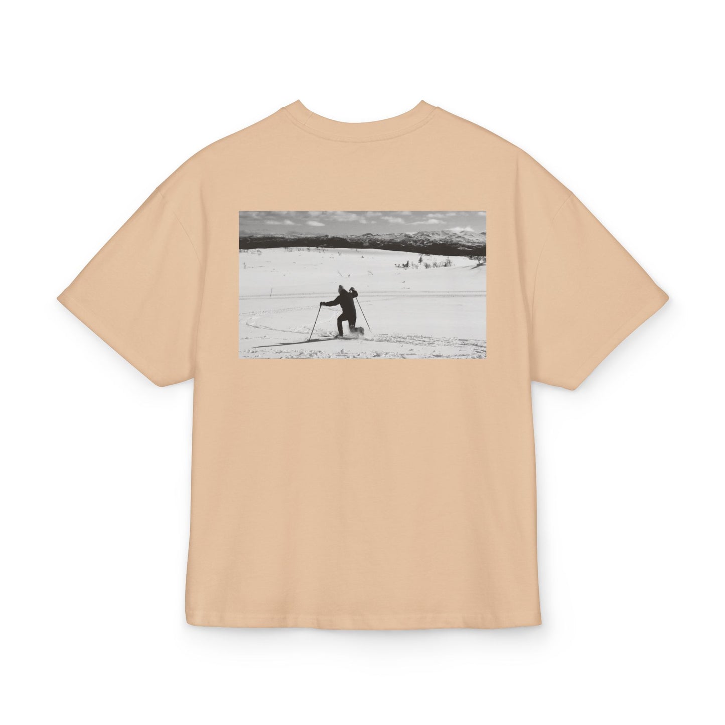 PREMIUM Telemark nedslag