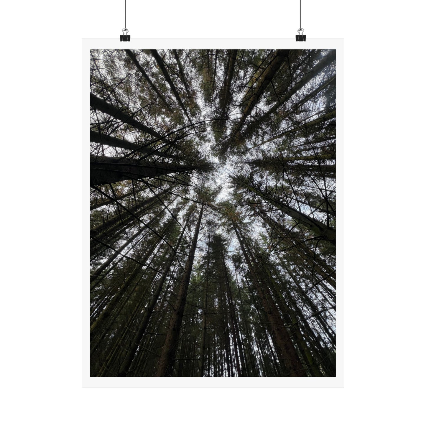 Matte Vertical Posters