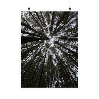 Matte Vertical Posters