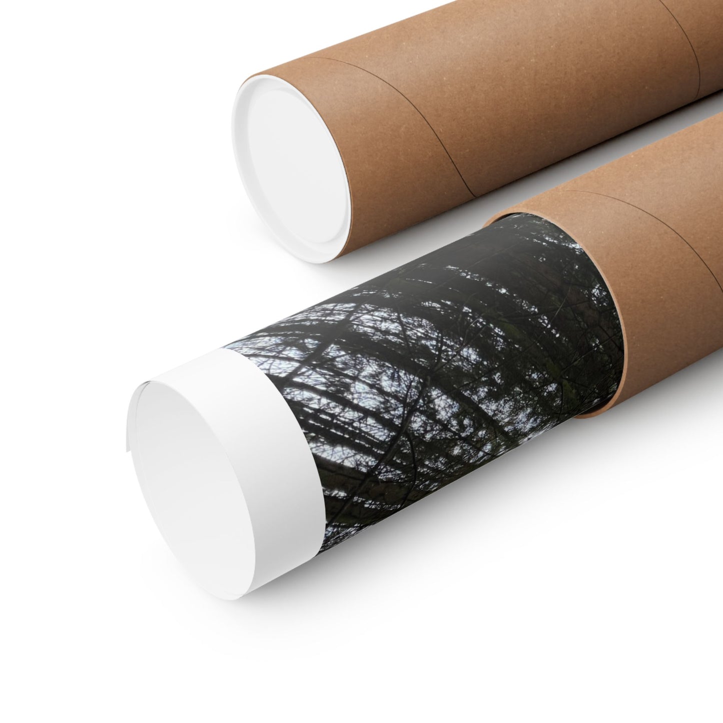 Matte Vertical Posters