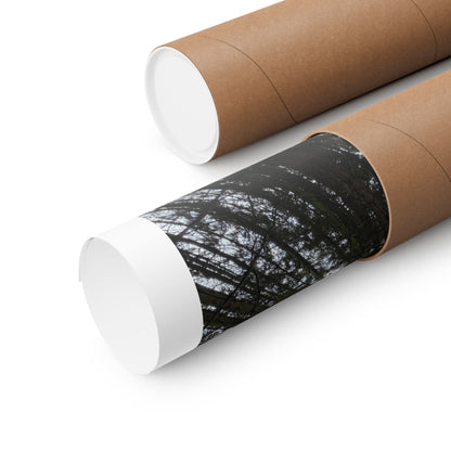 Matte Vertical Posters