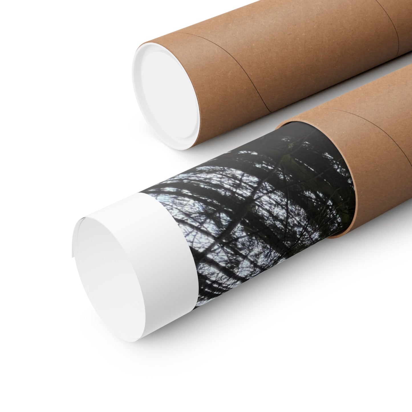 Matte Vertical Posters