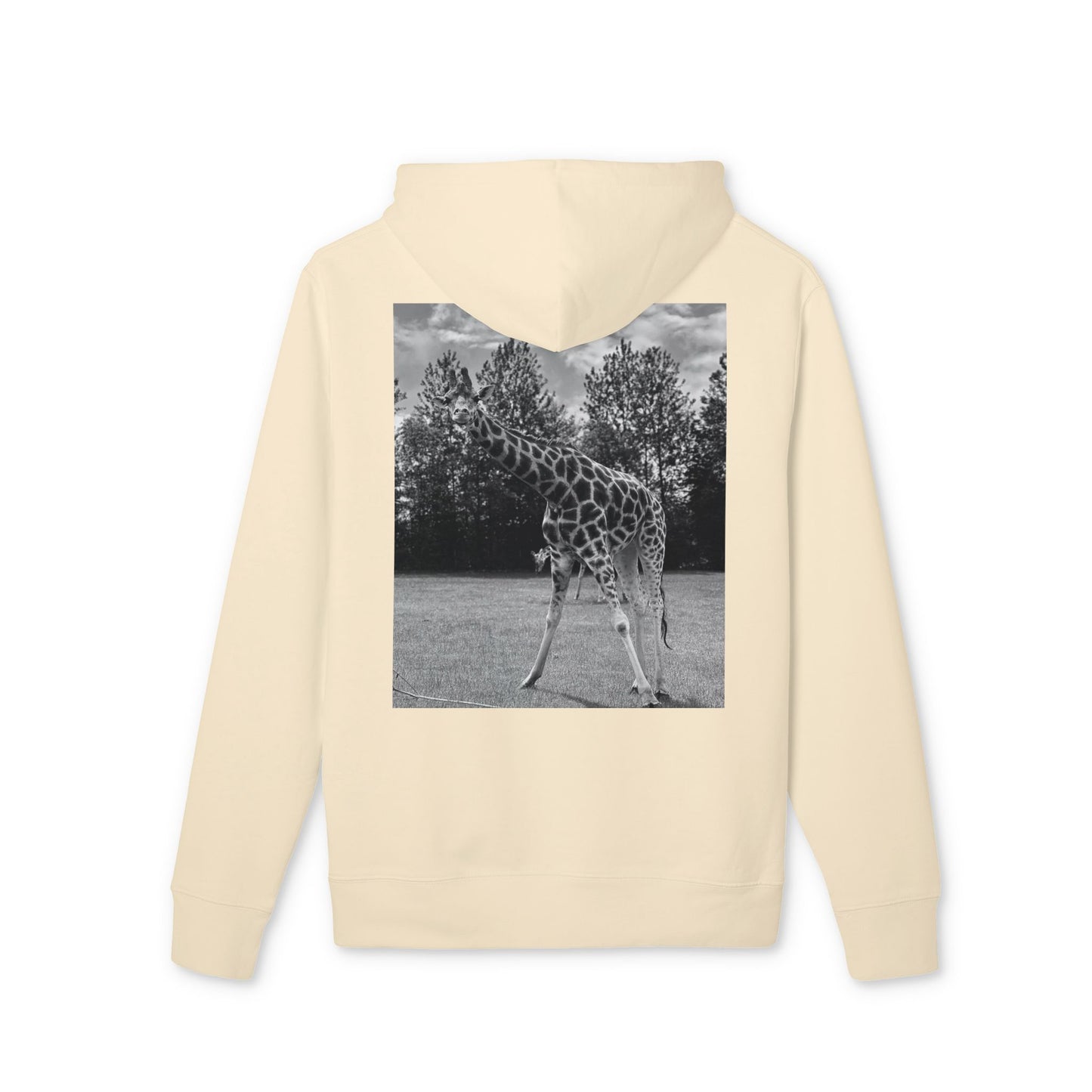Premium GIRAFFE