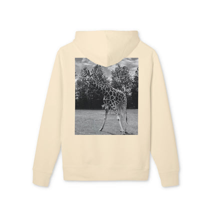 Premium GIRAFFE
