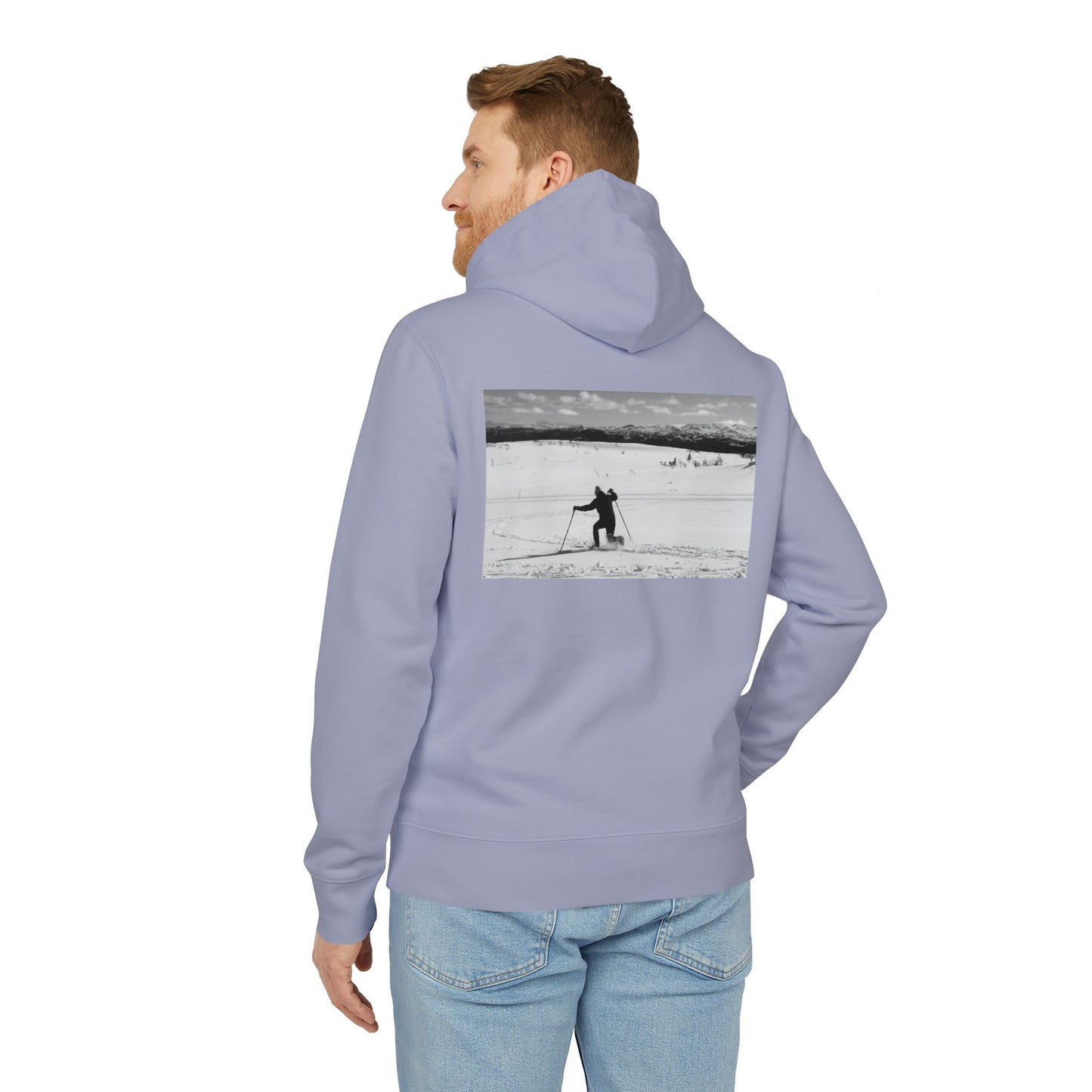 PREMIUM Telemark nedslag