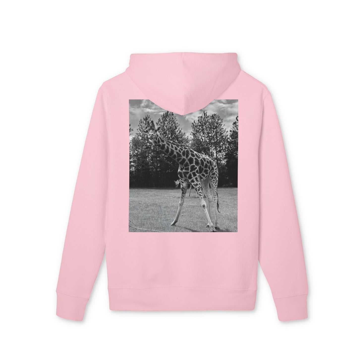 Premium GIRAFFE