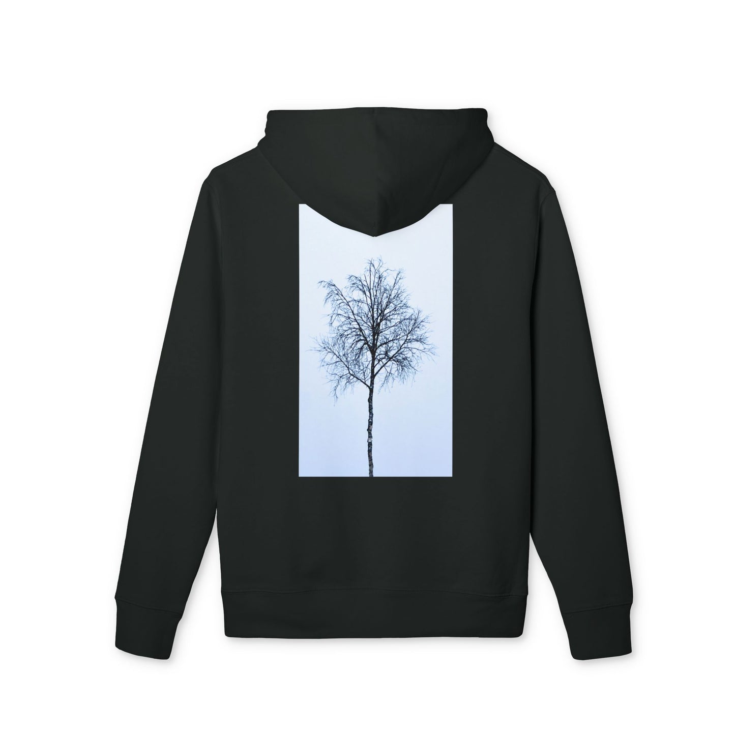 PREMIUM BJØRK
