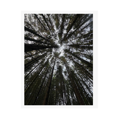 Matte Vertical Posters