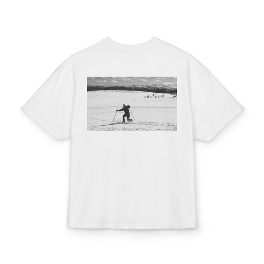 PREMIUM Telemark nedslag