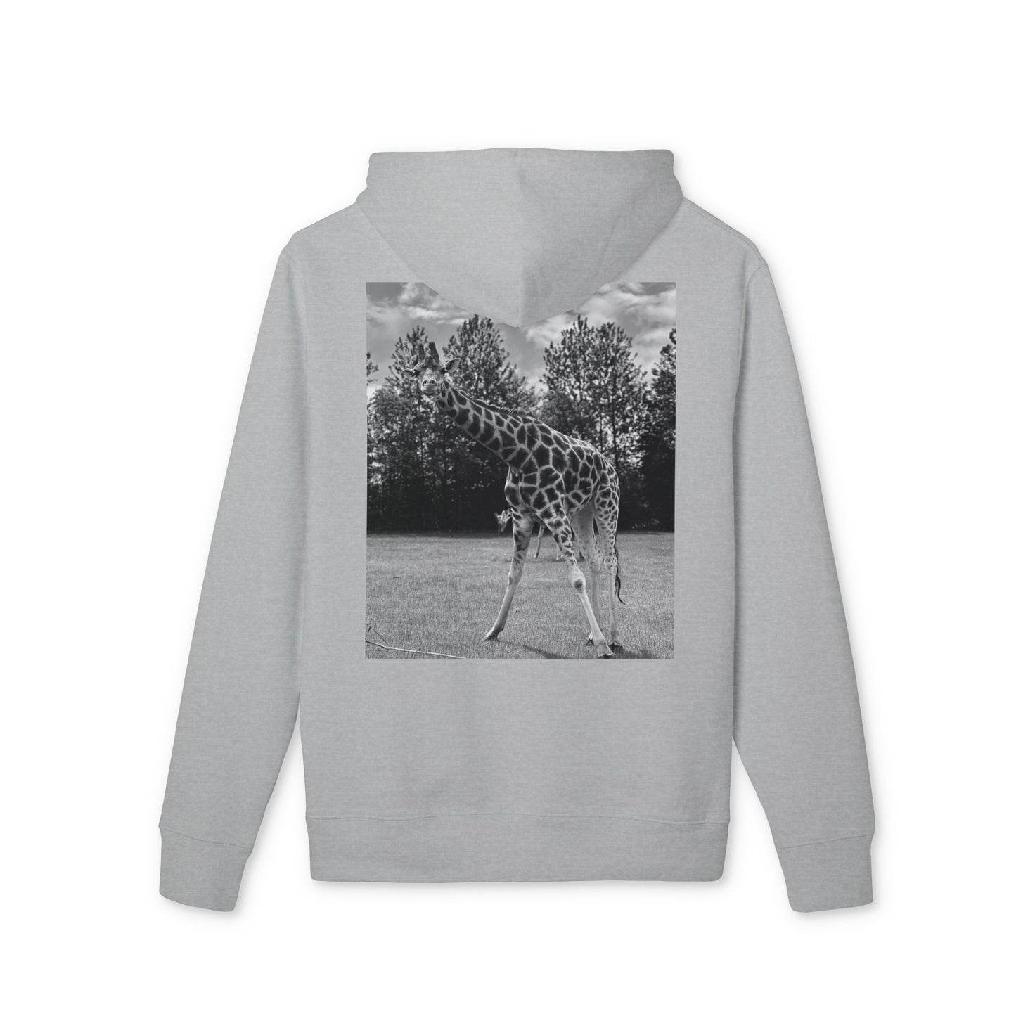 Premium GIRAFFE