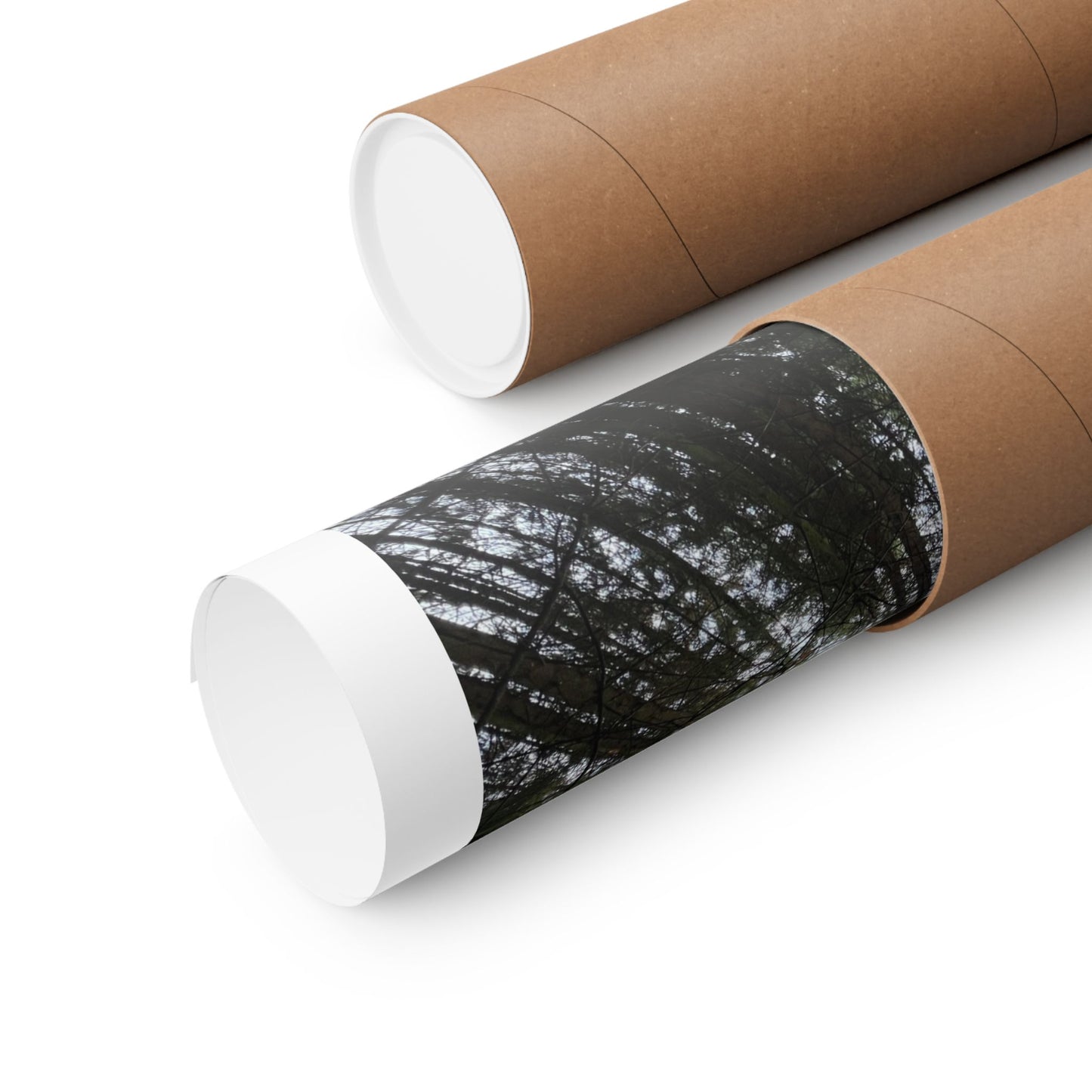 Matte Vertical Posters