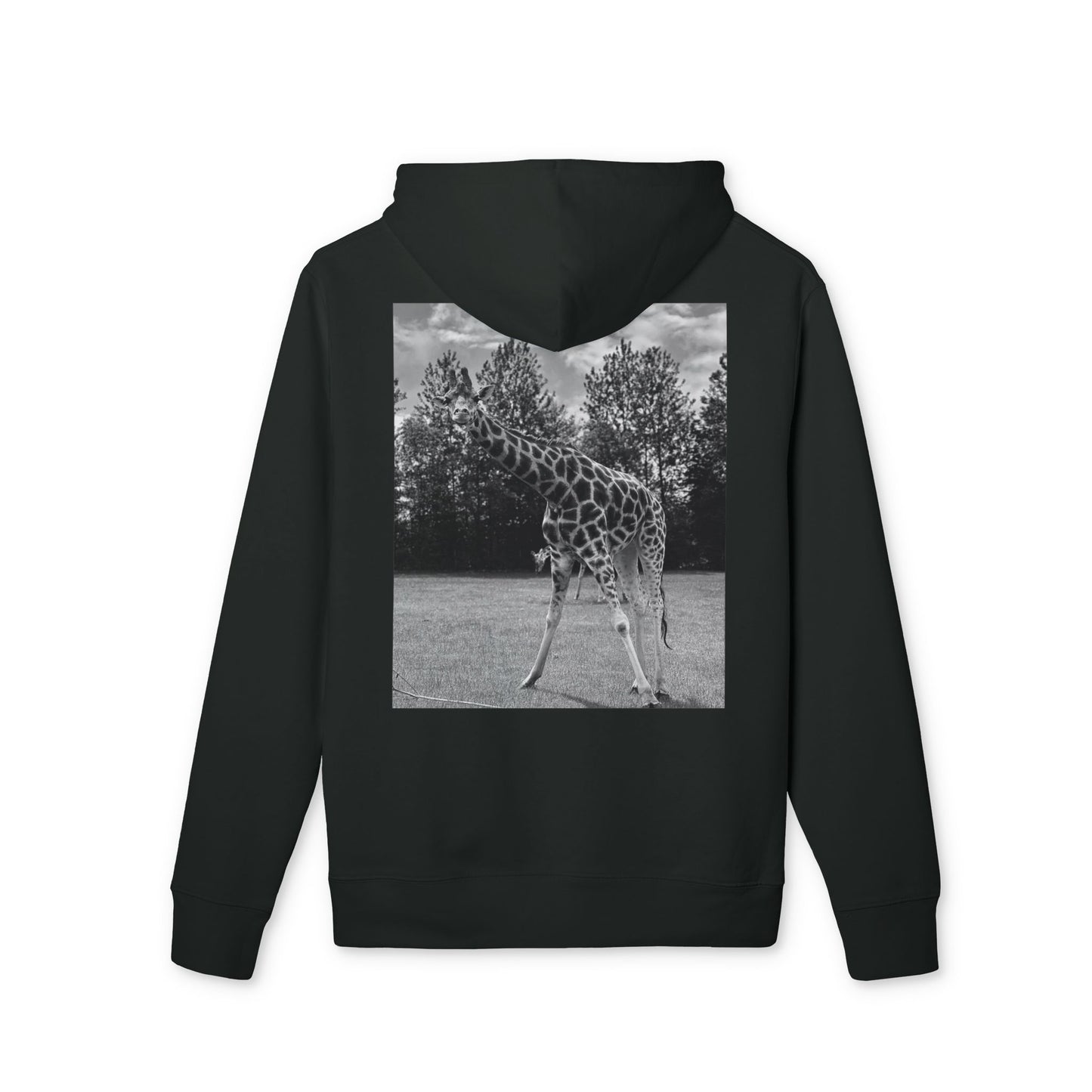 Premium GIRAFFE
