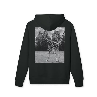 Premium GIRAFFE
