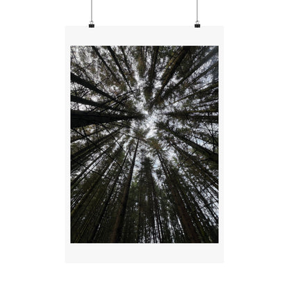 Matte Vertical Posters