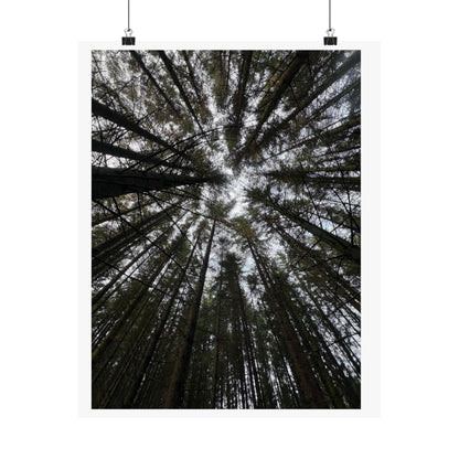 Matte Vertical Posters