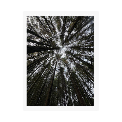 Matte Vertical Posters