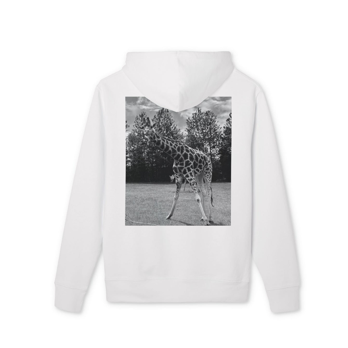 Premium GIRAFFE